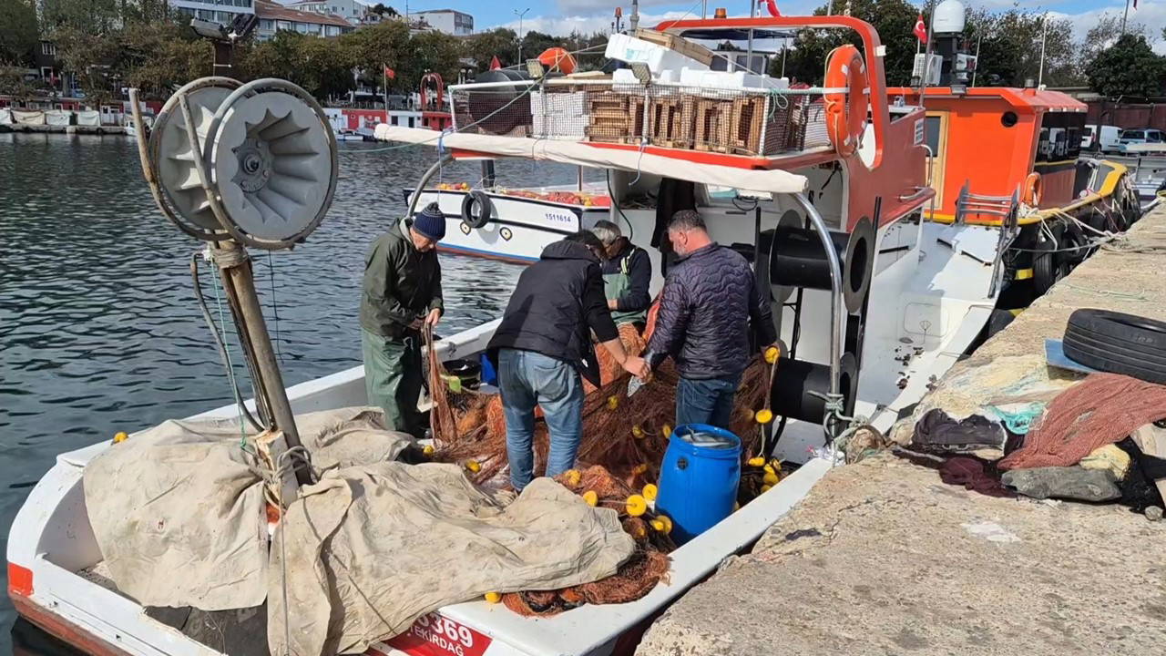 Tekirdağ'da ağlara takıldı! Tanesi 400 lira...