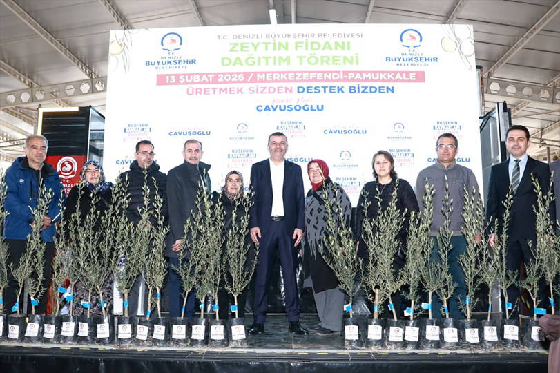 Üreticiye 84 bin sertifikalı zeytin fidanı