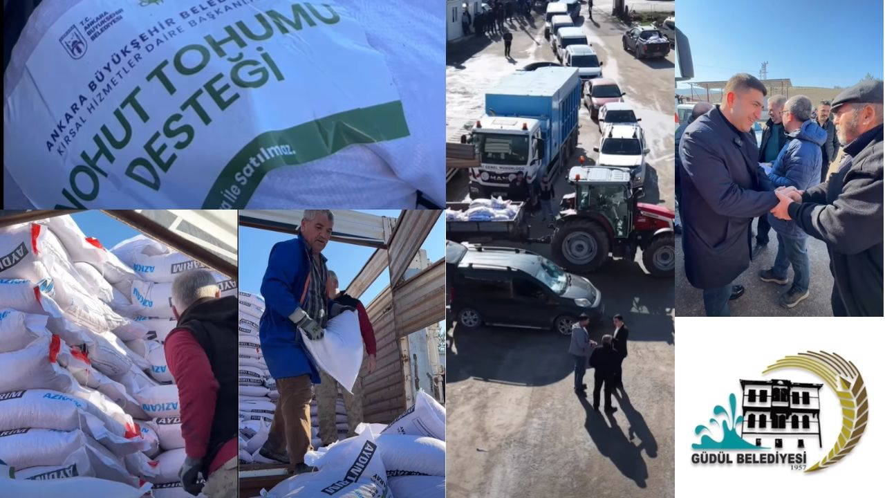 Güdül’de 189 çiftçiye yüzde 50 hibeli nohut tohumu desteği