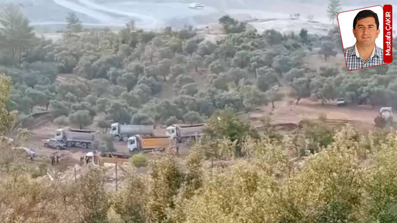 Zeytin gurbete, köylü belirsizliğe