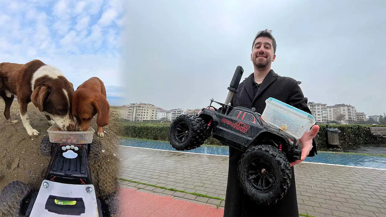 Sokak hayvanlarına, ‘oyuncak arabalı’ mama servisi