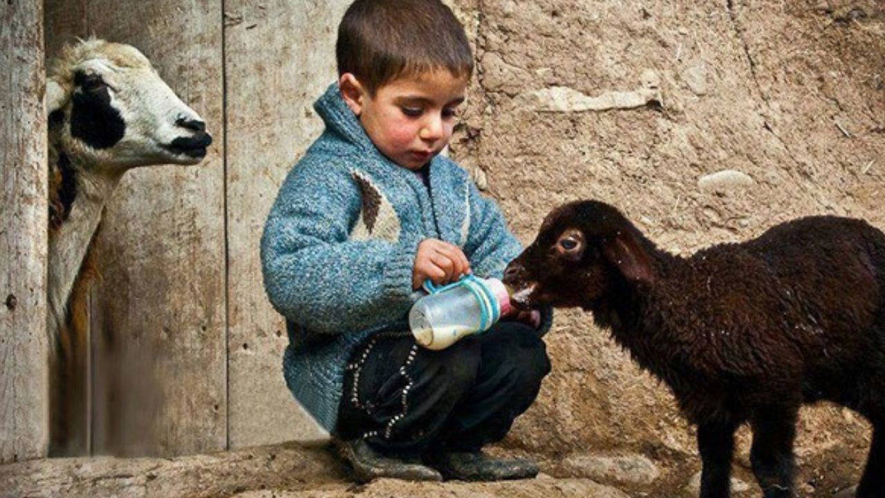 Düşmanına bile şans dileyecek kadar merhametli olan 4 burç: Bu burçlar kimseye kin tutamıyor