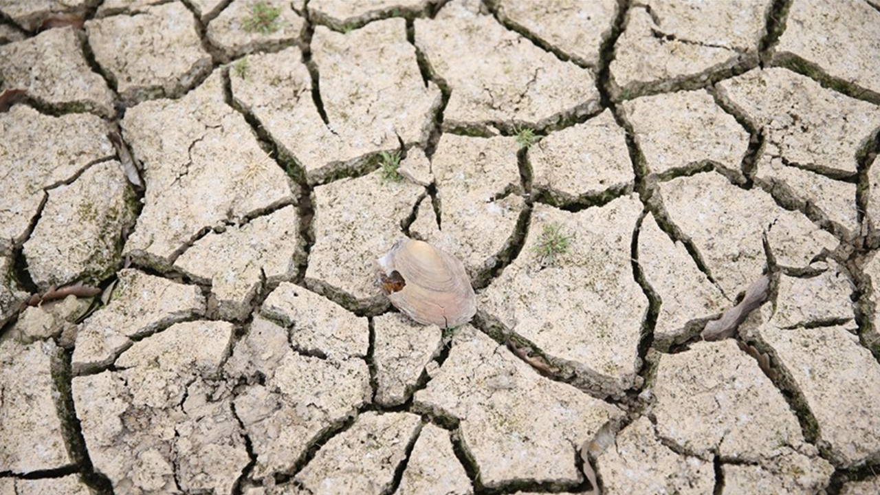 Trakya'da kuraklık alarmı: 'Açabileceğimiz tüm su kuyularını açtık...'