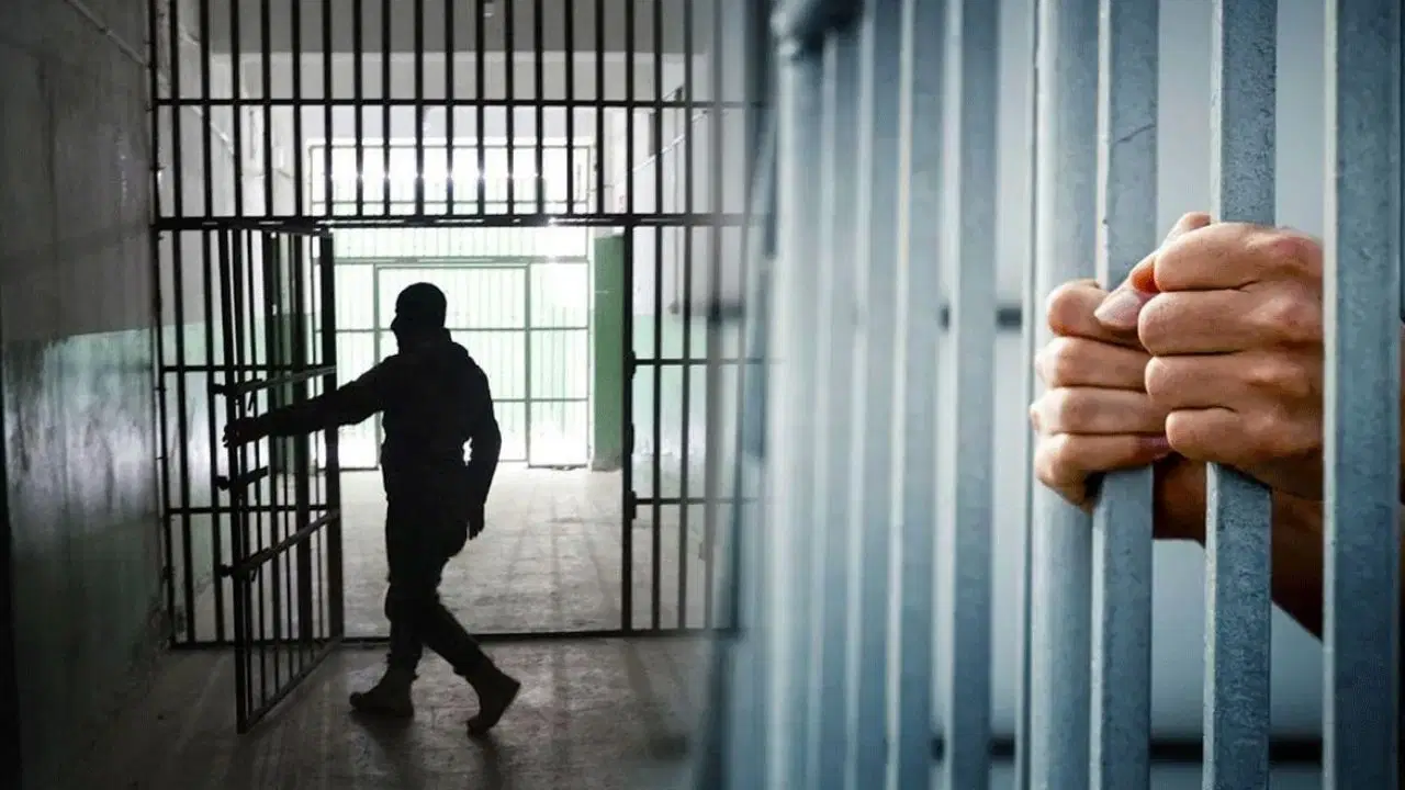 İnfaz düzenlemesi hangi suç türlerini kapsıyor?