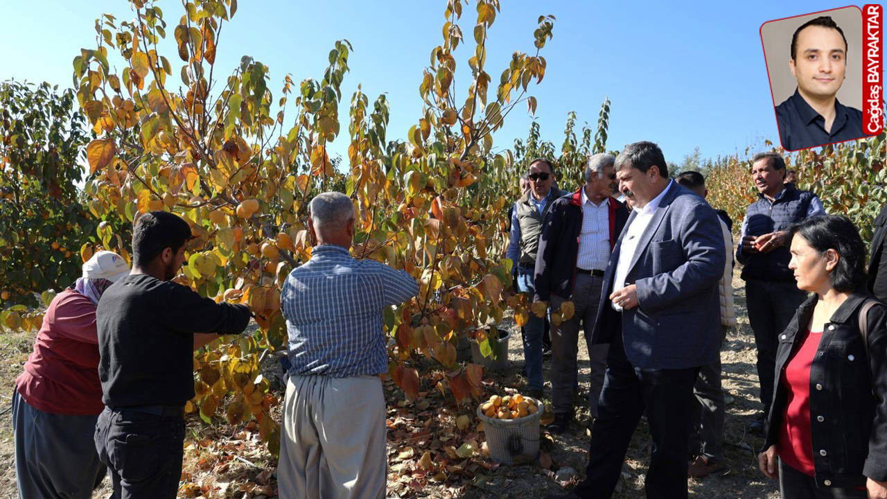 Belediye Başkanı Yıldız'dan çağrı: 'Derhal durdurun!'
