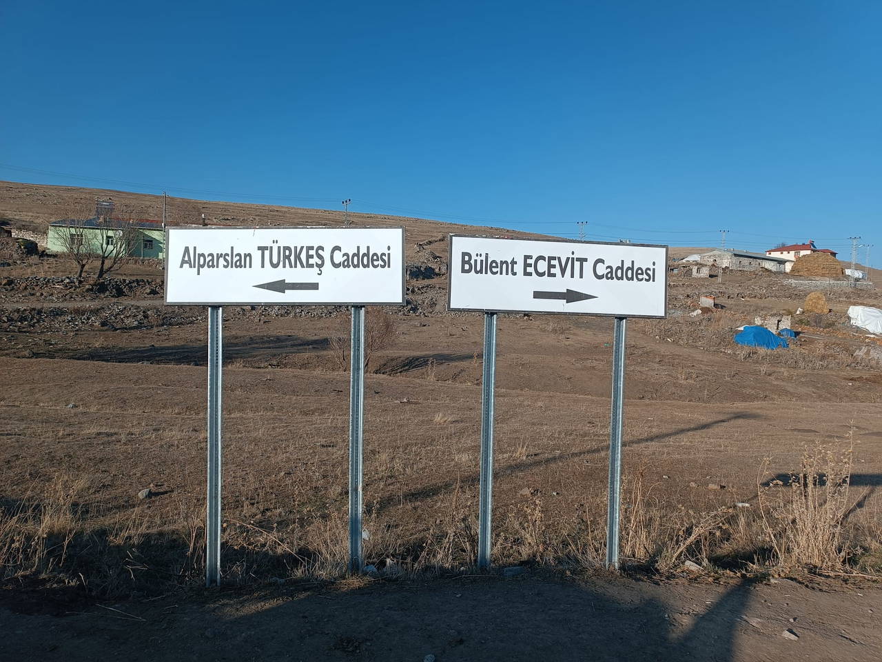 Sola dönünce Türkeş, sağa dönünce Ecevit