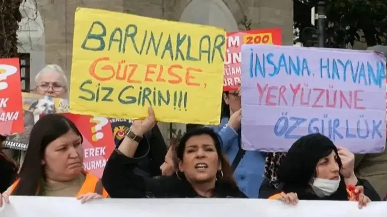 Hayvan hakları için direnişin ve dayanışmanın yılı