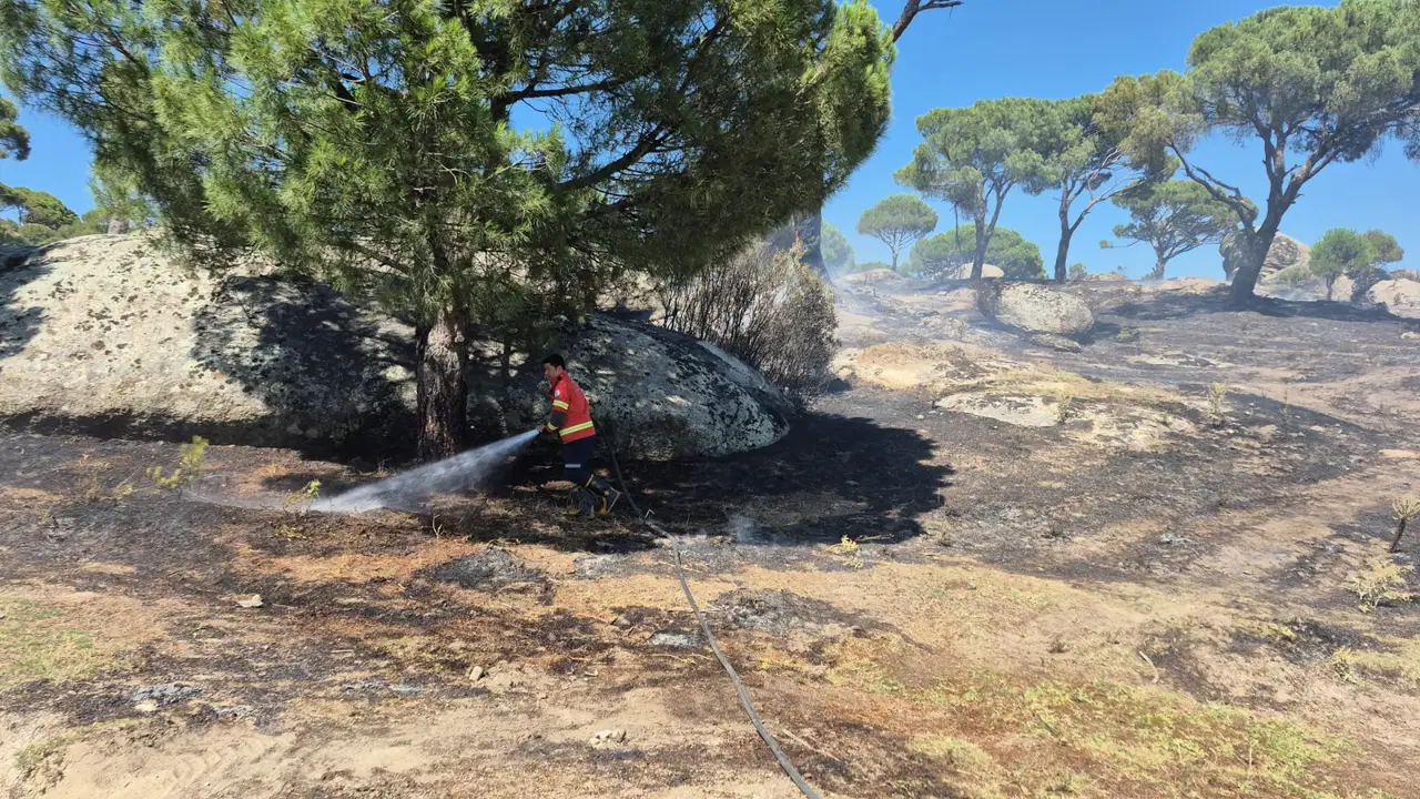 Muğla’da çıkan 10 yangından 7’si insan kaynaklı