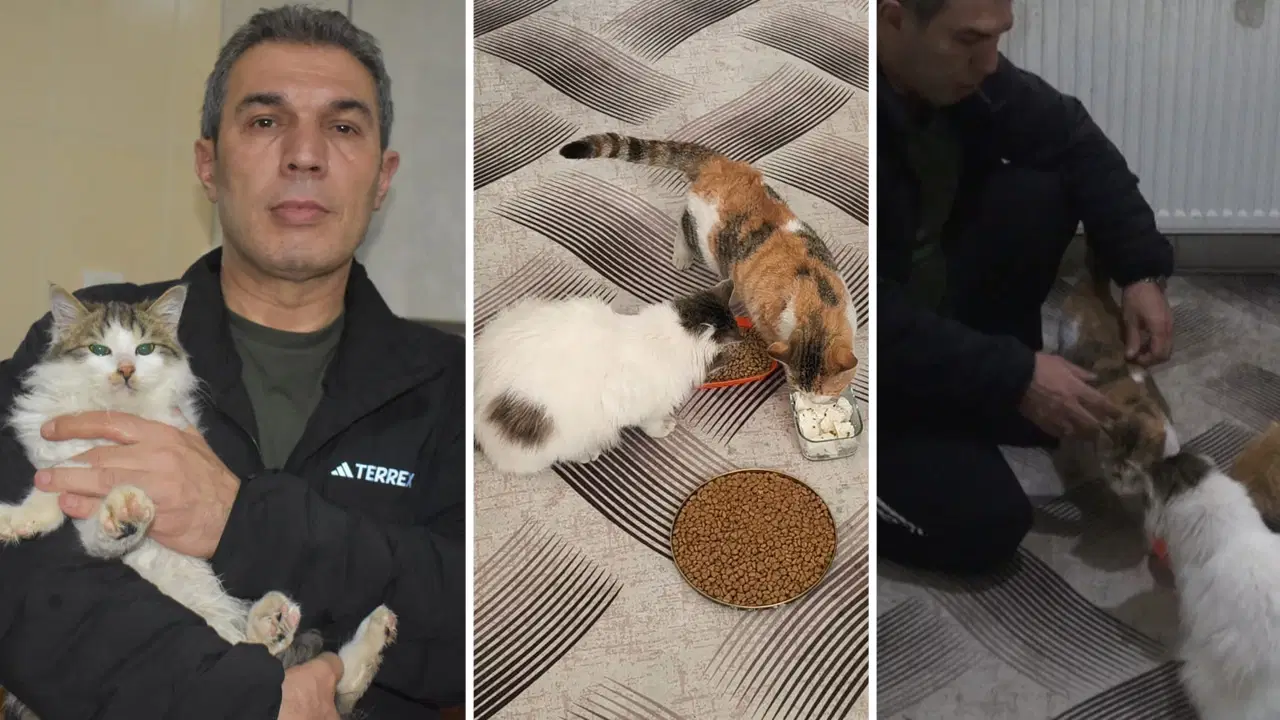 Dondurucu soğukta apartmandaki dairesini kedilere açtı: 'Bütün tedbirlerimizi aldık onlar için'