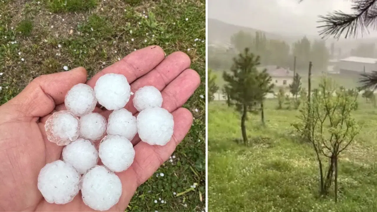 Sivas’ta fındık büyüklüğünde dolu yağdı, ağaçlar çiçek döktü