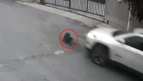 İstanbul'da barınma krizi