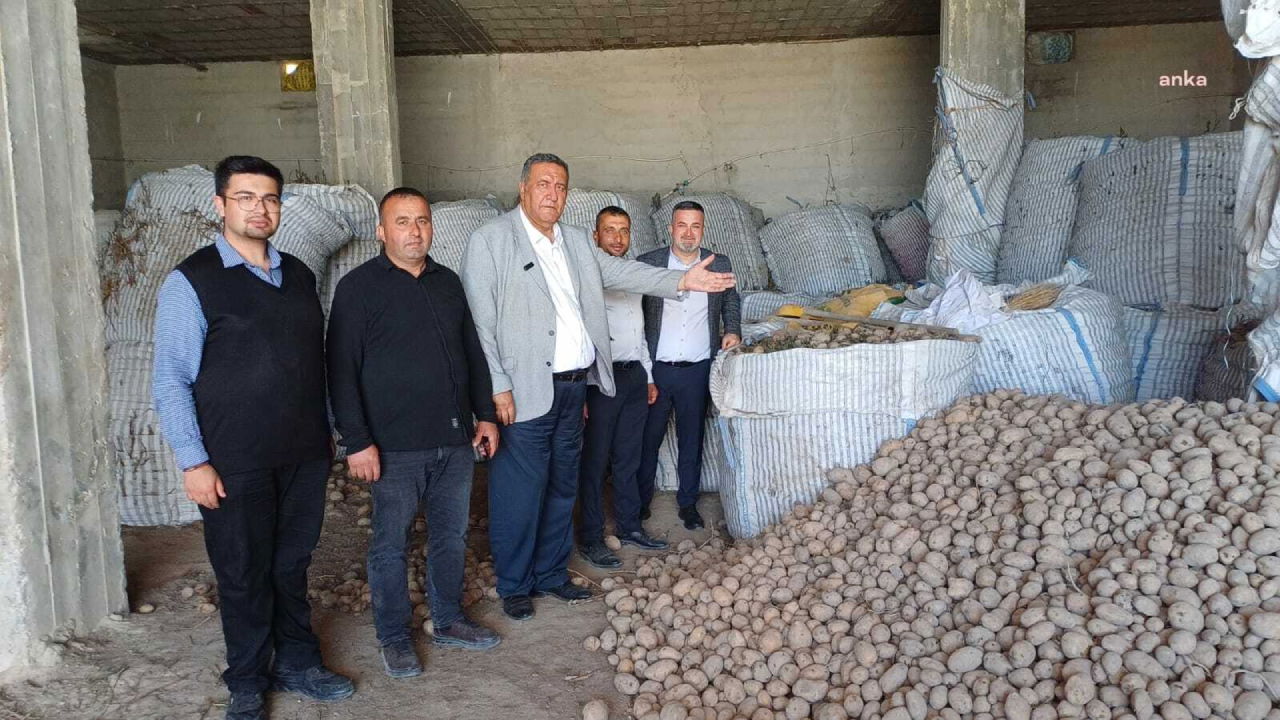 CHP’li Gürer, Patates üreticilerinin Sorunlarını Dinledi: ‘Küçük Aile Tipi Işletmelerin Patatesi Hayvan Yemi Oldu’