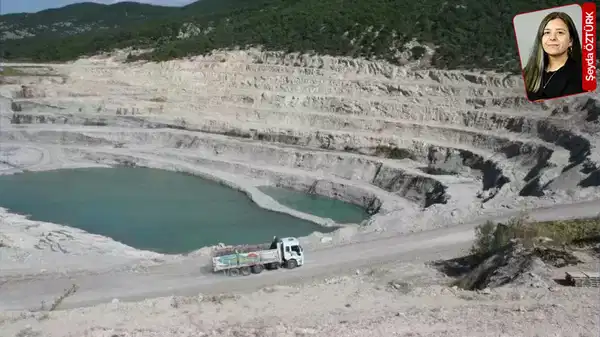 Binlerce hektarlık kömür ocağı için izin aldı, kesim detayı vermedi: Ağacın değeri yok