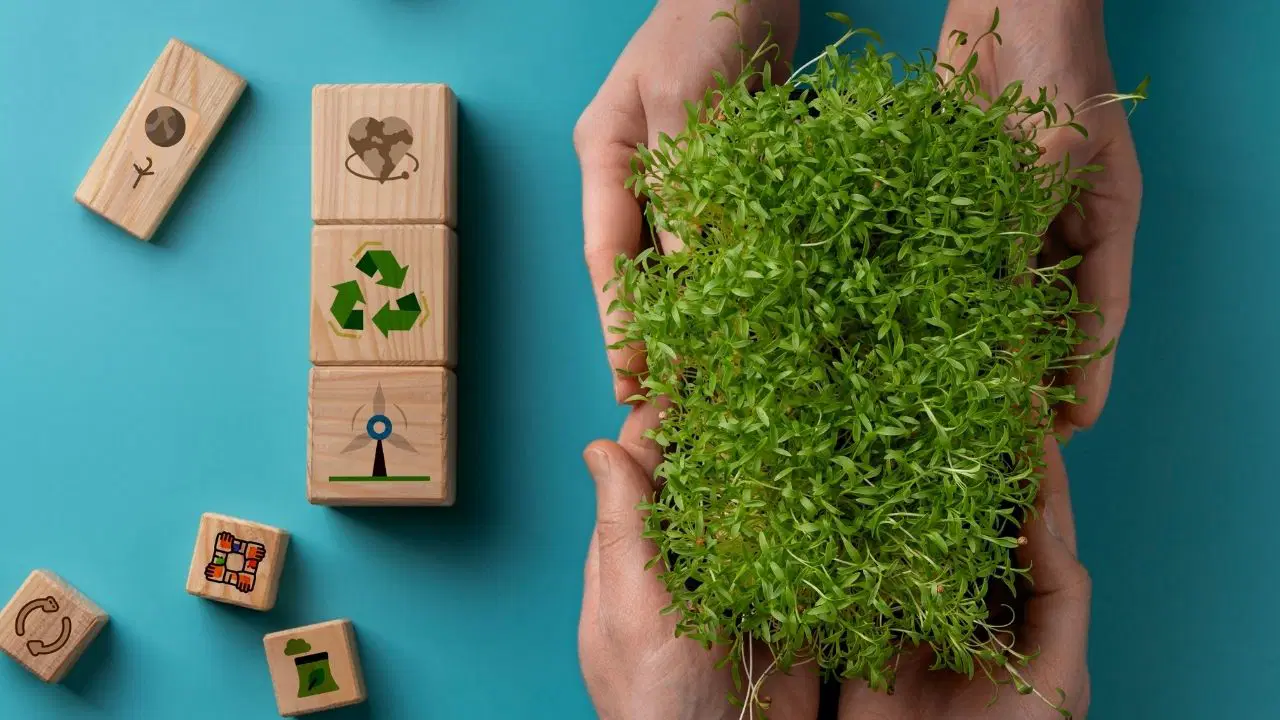 Mutfaktaki 'çöp' dünyayı kurtarabilir: Gıda atıklarından biyoplastik devrimi