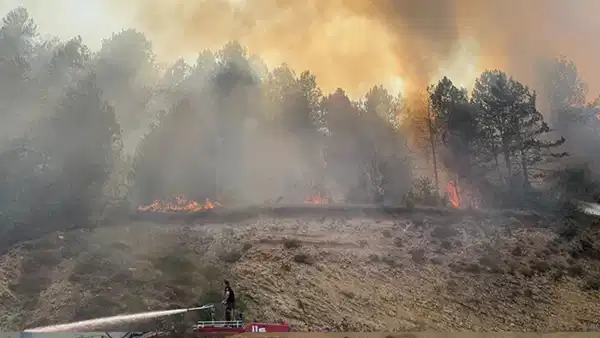 Bolu’da orman yangını: Havadan ve karadan müdahale sürüyor