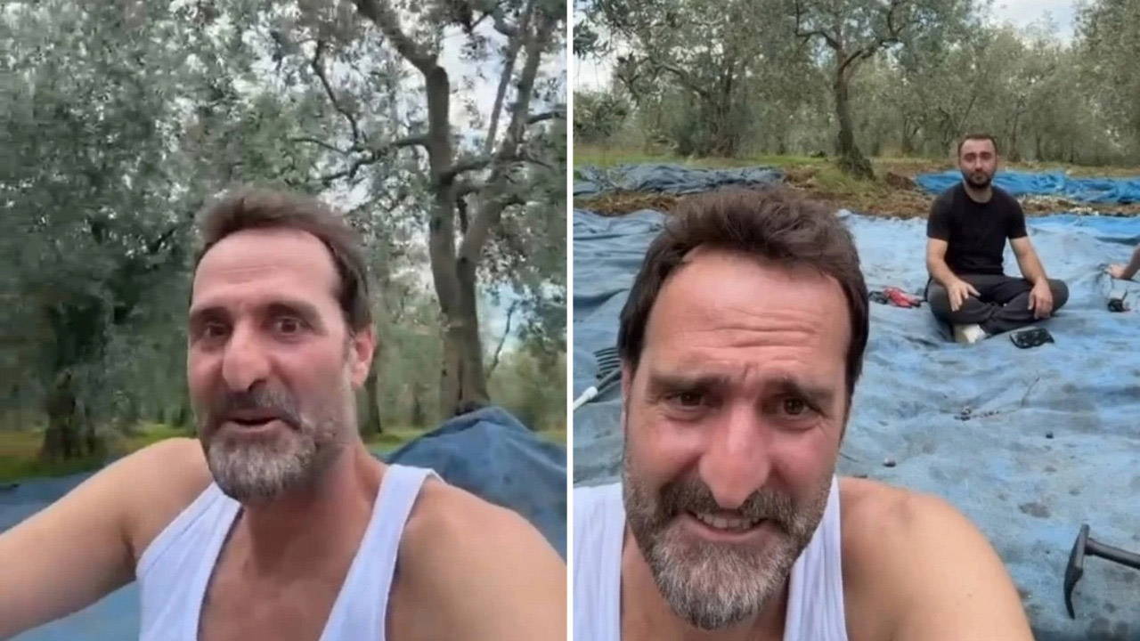 Ünlü oyuncu Timur Acar İznik'te arsa aldı, ilk zeytin hasadını yaptı