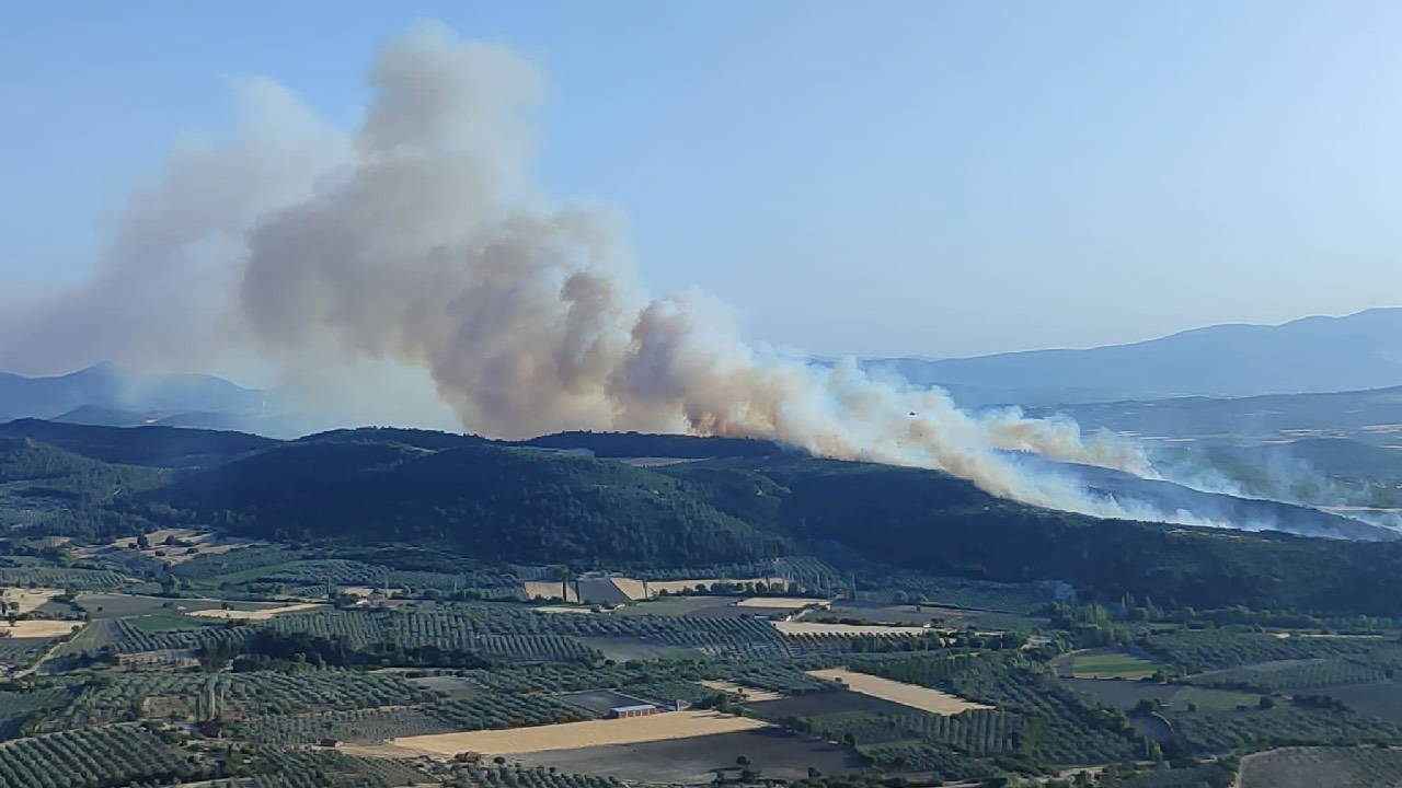Manisa’nın Kırkağaç ilçesinde orman yangını