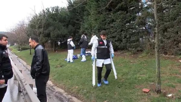 İstanbul'da dehşet: TEM yolunun kenarında bebek cesedi bulundu