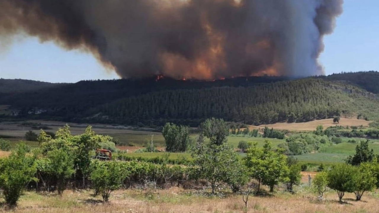 Uçak kırıma uğramıştı: Adana'daki orman yangınında 5 tutuklama