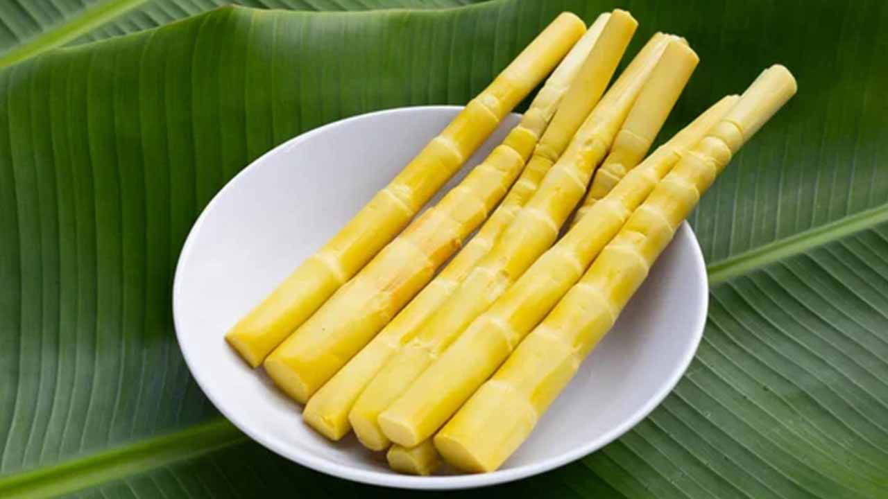 Bilim dünyası 'yeni süper gıda'yı seçti: Bambu filizi sağlık dağıtıyor!