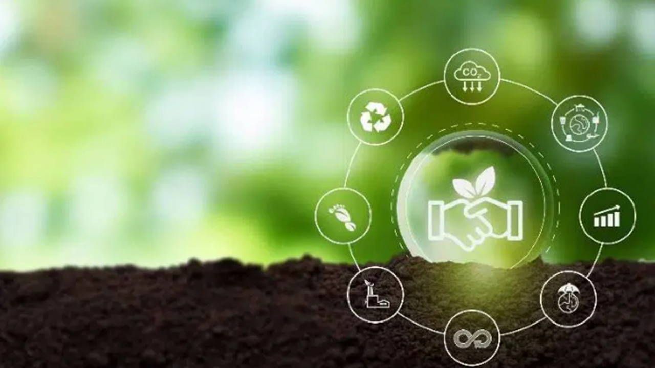 Türkiye’den ve dünyadan çevre gündemi