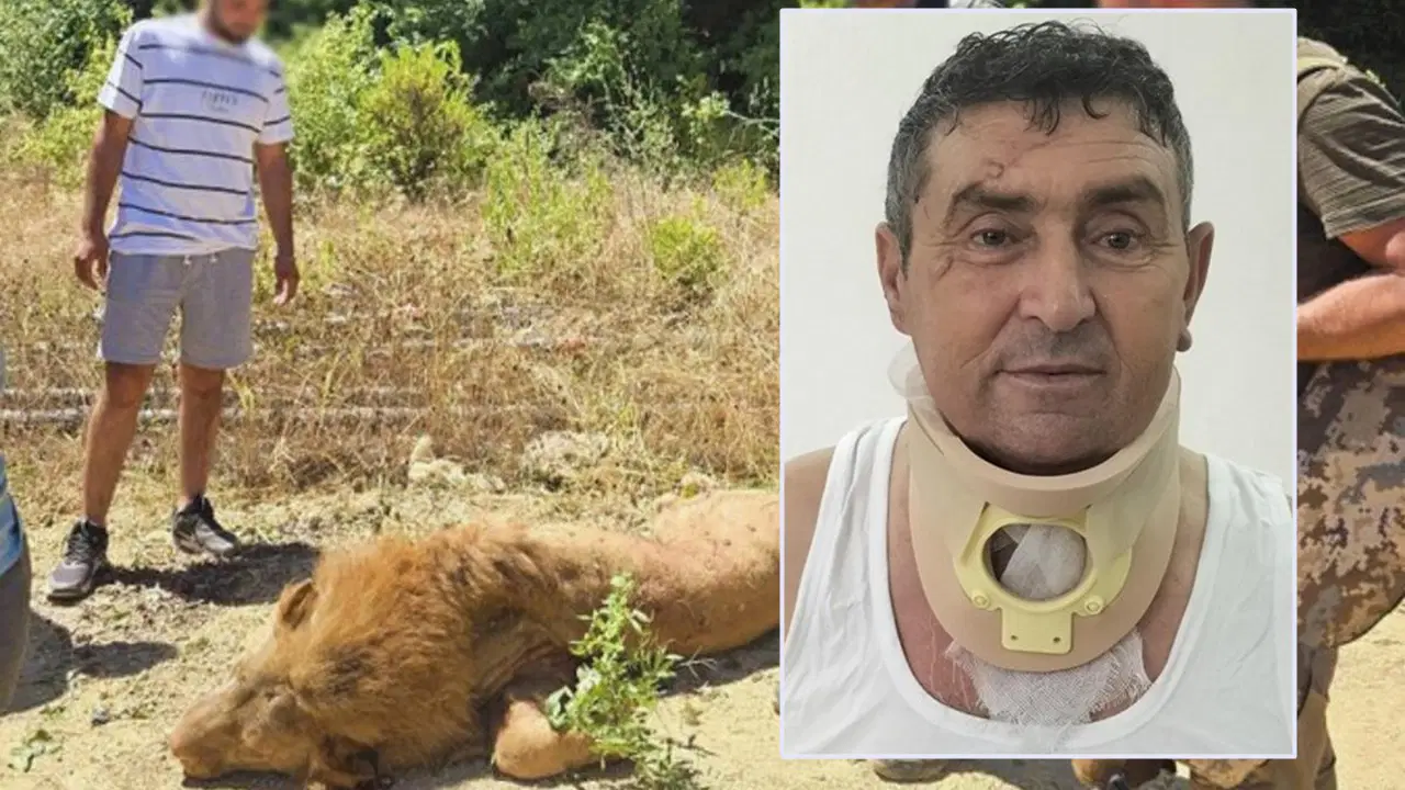 Aslanla boğuşan çiftçi günler sonra konuştu: 'Öldürmeselerdi iyi olurdu, bu olayda tek suçsuz olan ben ve aslan'