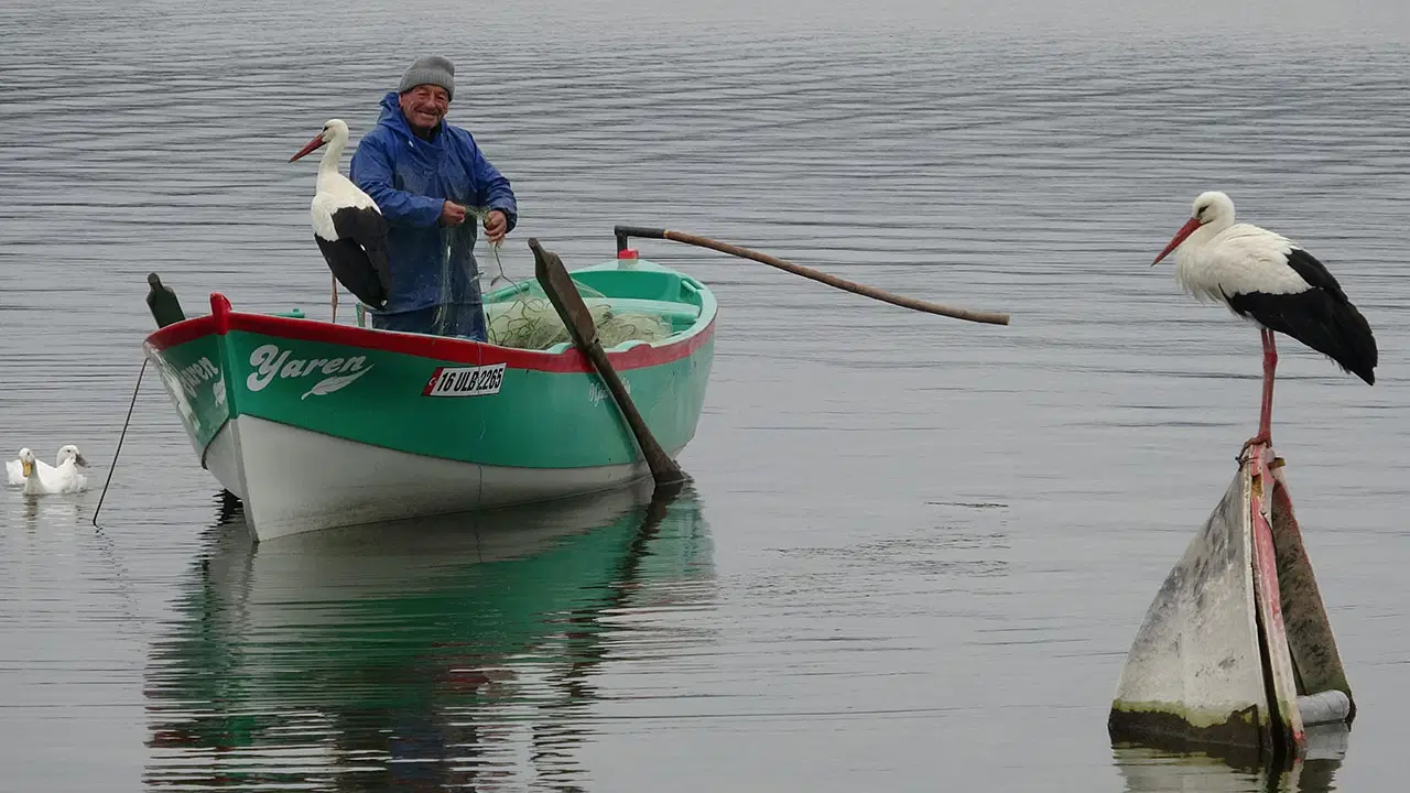15 yıllık dostluk yeniden buluştu: Adem Amca ile Yaren leylek kavuştu