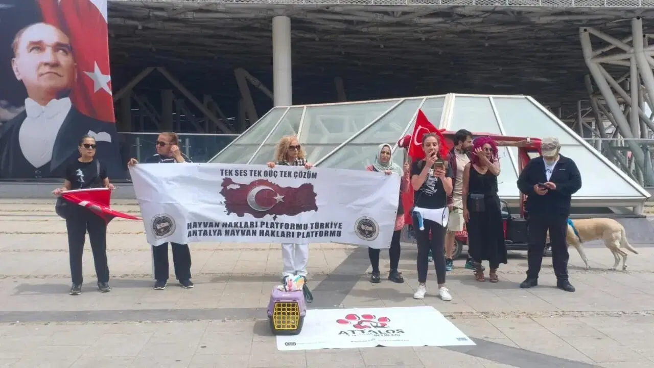 Doğa savunucuları Antalya'da ayakta: 2.5 yıldır süren kuş ölümleri durdurulsun