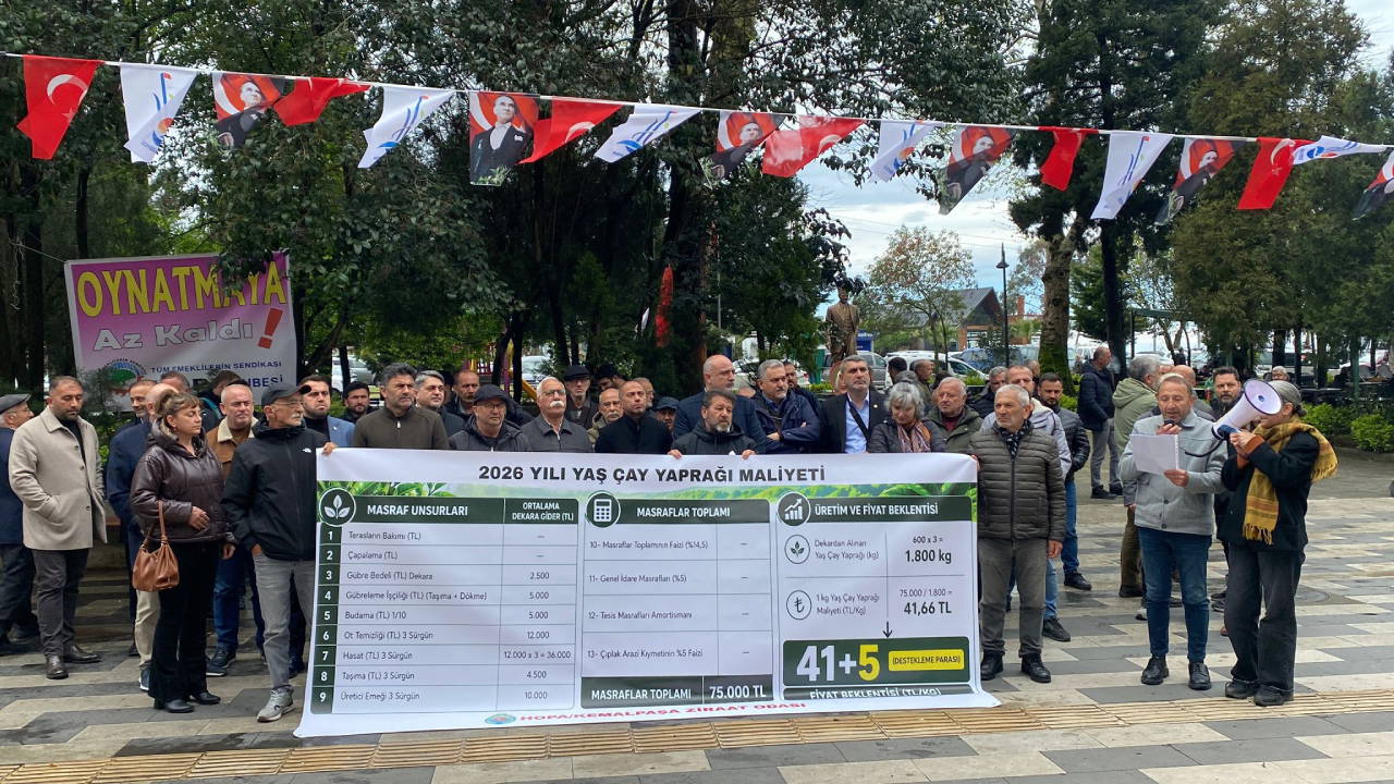 Hopalı çay üreticilerinin talebi: 'Taban fiyat en az 46 TL olmalı'