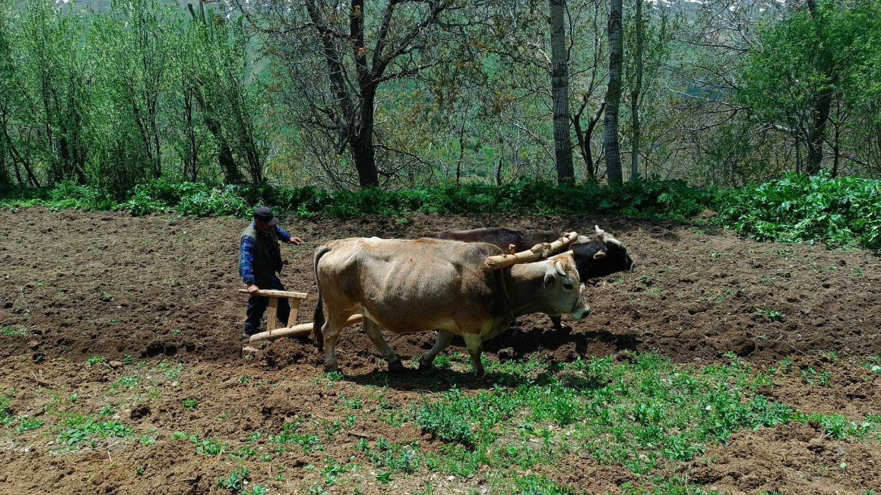Van Bahçesaray'da çiftçiler, artan akaryakıt fiyatı nedeniyl