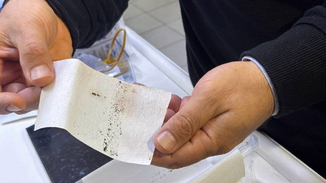 Yoğun yağışlar sonrası sivrisinek alarmı