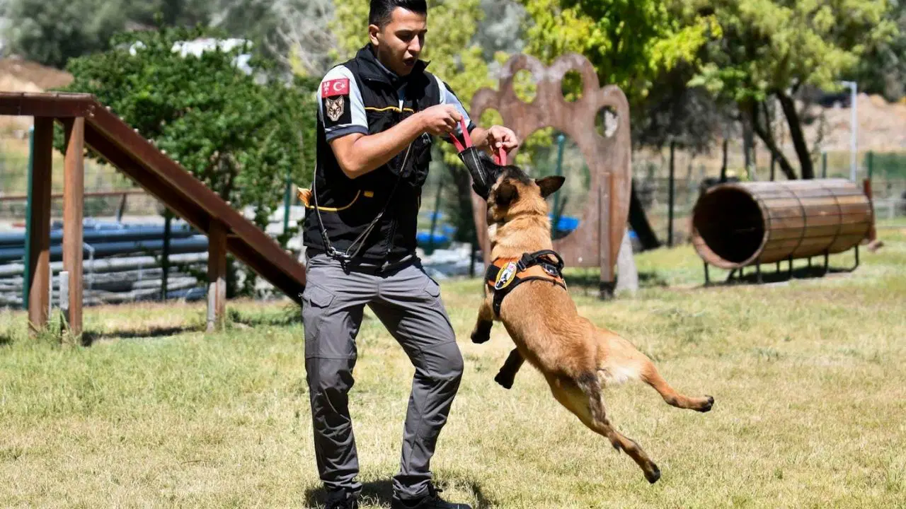 ABB’nin K9 ekipleri görev başında