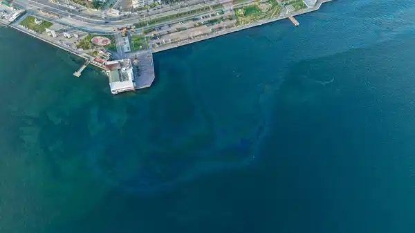 İzmir Körfezi'nde atık döktüler