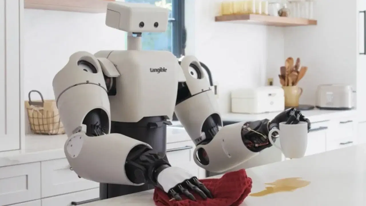 Bu robotlardan birinin evinizi temizlemesine izin verir miydiniz?