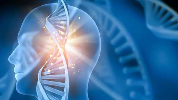 ALS hastalığı nedir? ALS hastalığı belirtileri neler? ALS hastalığı tedavisi...