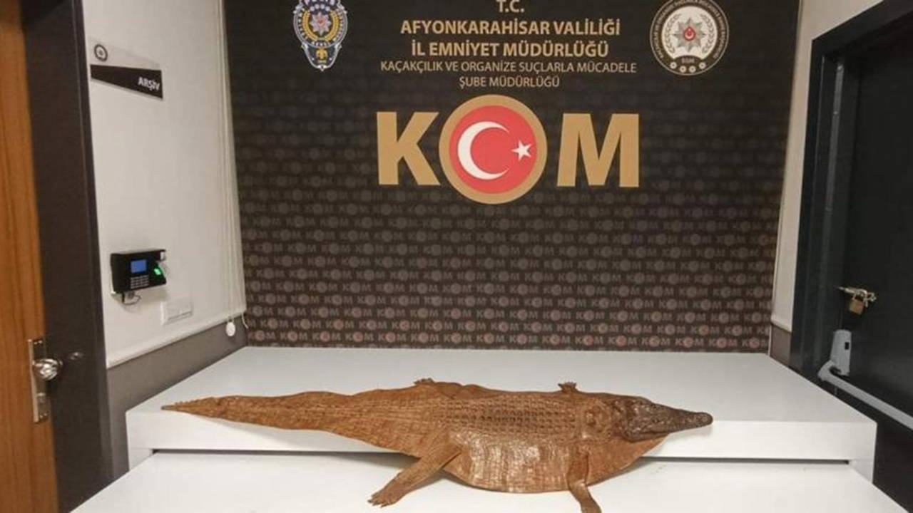 Afyonkarahisar'da durdurulan araçta timsah derisi bulundu: 2 gözaltı