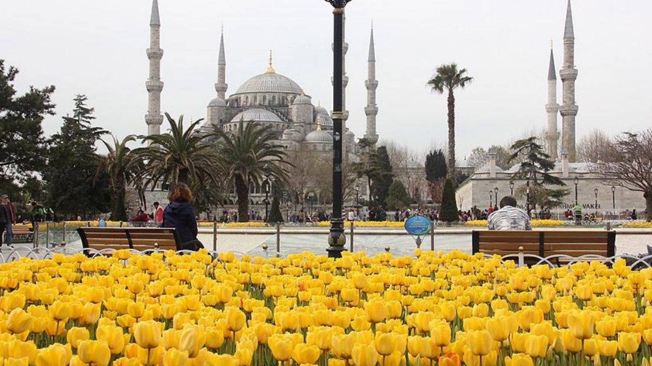 İstanbul Lale Festivali ne zaman? İstanbul Lale Festivali nerede yapılacak?