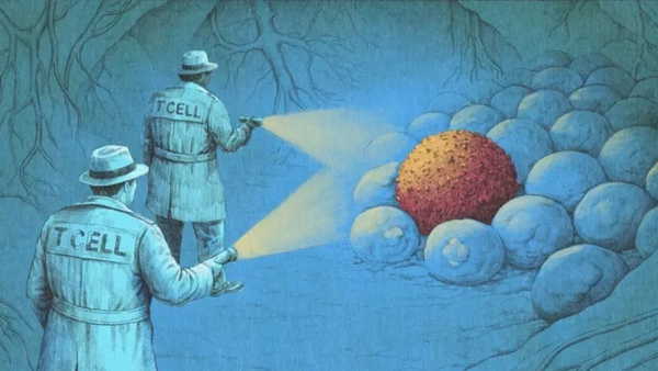 'Bilim kurgu gibi': Yeni bağışıklık sistemi tedavileri kanserle nasıl savaşıyor?