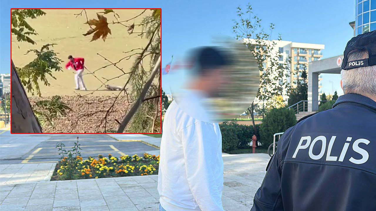 Sosyal medyayı ayağa kaldıran görüntü: Köpeği iple sürükleyen personel serbest bırakıldı!