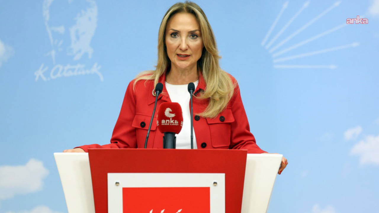Aylin Nazlıaka’dan ‘Komşu Anne’ projesine tepki – Son Dakika Siyaset Haberleri