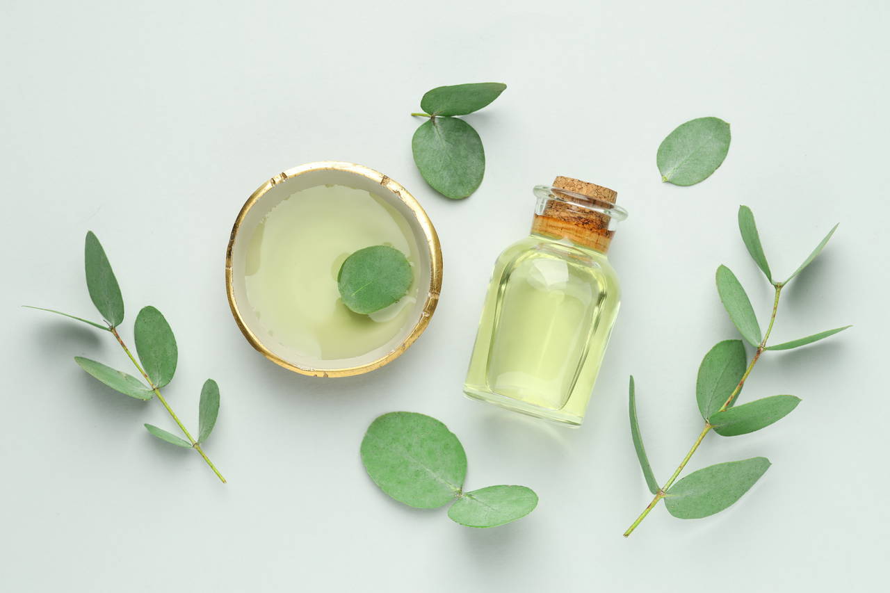 Kimyasal kullanmadan yaz akşamlarını kaşıntısız geçirin: Sivrisineklerden kurtulmanın 7 doğal yolu 