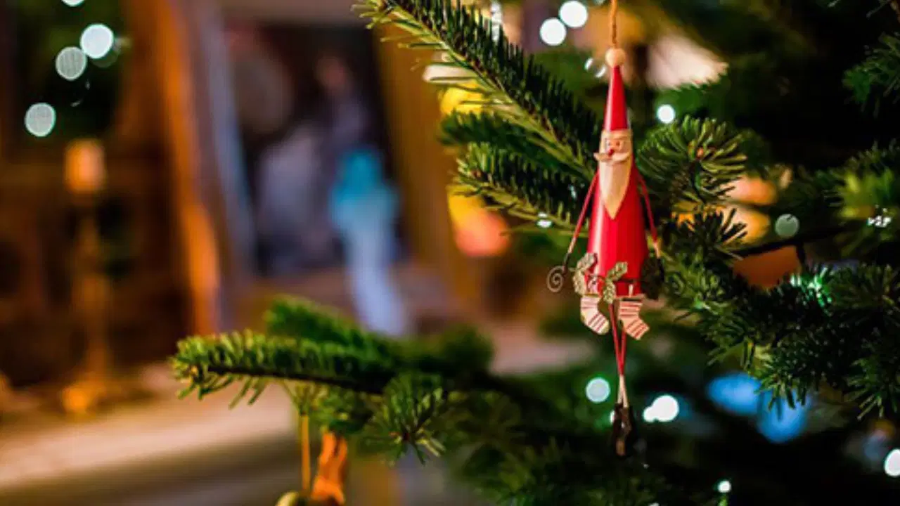 Yeni yıl ne getirecek?