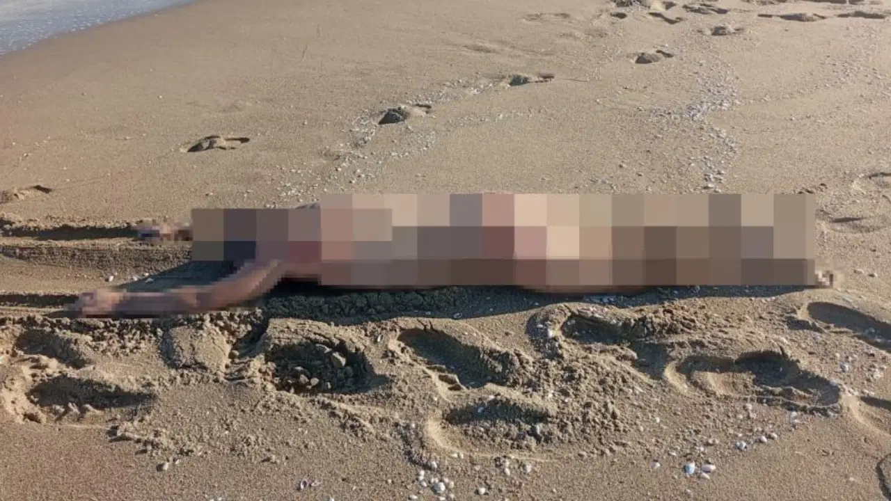 Sahilde çıplak erkek cesedi bulundu!