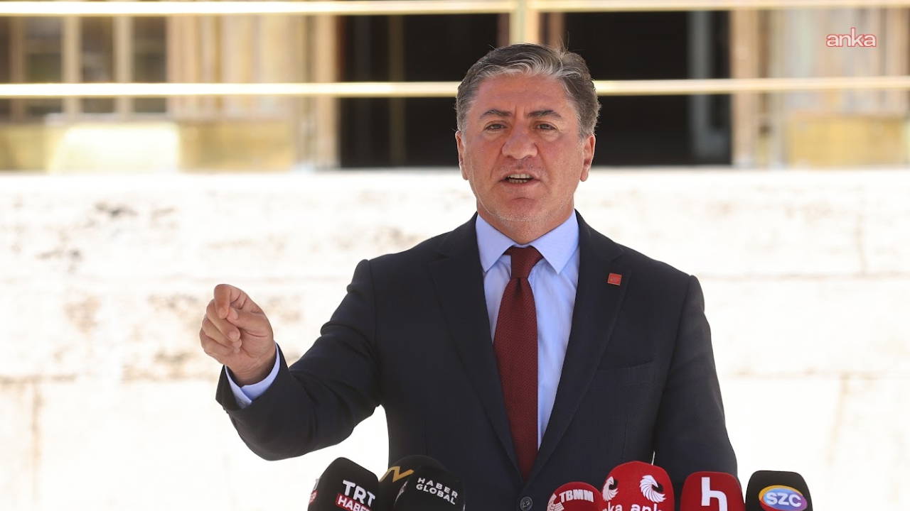 CHP'li Emir: 'Majestelerinin muhalefeti yaratılmaya çalışılıyor' 