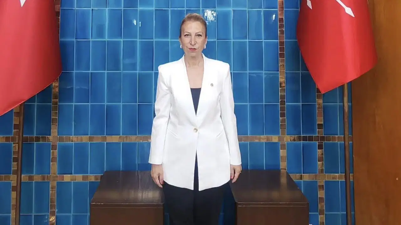 Milletvekili Süreyya Öneş Derici, CHP'den istifa etti: Paylaşımını sildi