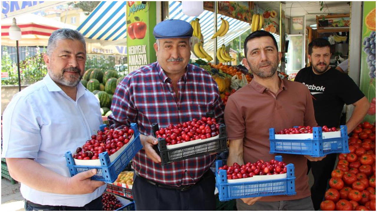 Zirai don Amasya'da 60 yıllık geleneği bozdu: Tarlada bir tane bile toplanamadı!