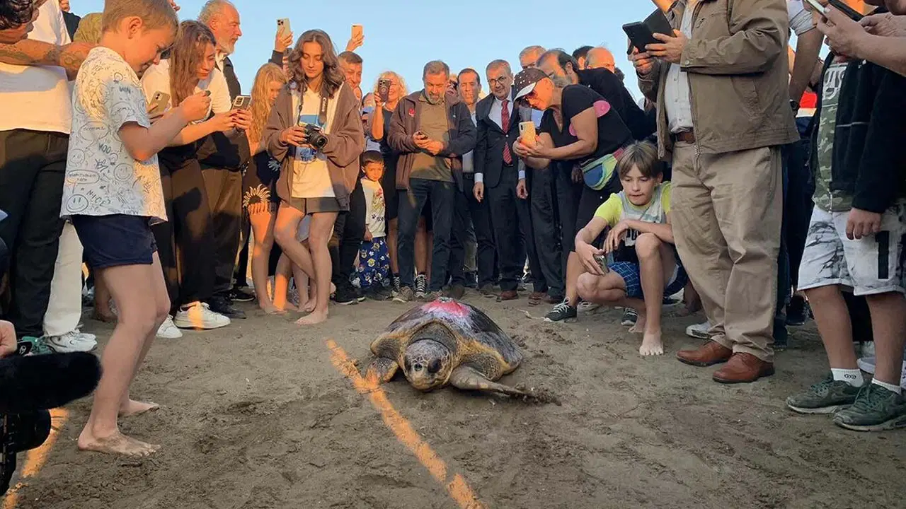 Caretta caretta 'Cumhuriyet'i 9 bin kişi izledi
