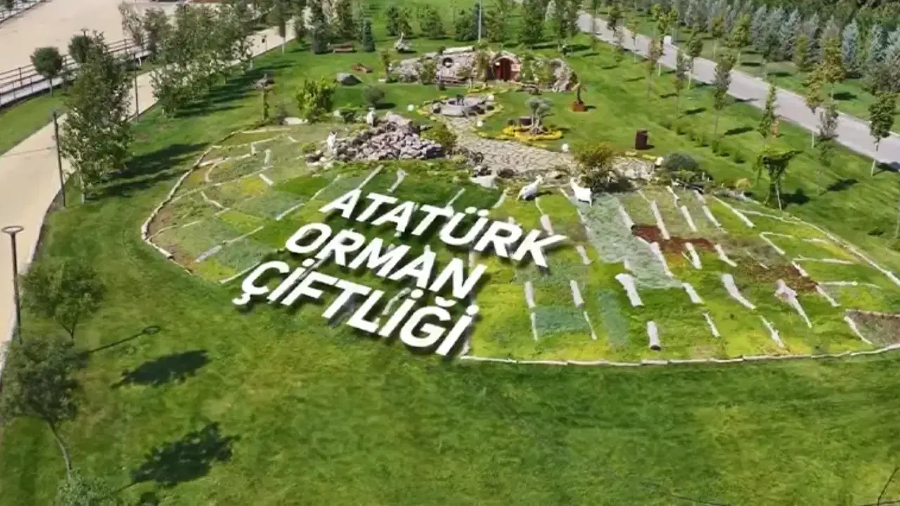 Atatürk Orman Çiftliği'nde bir taşınmaz depo olarak kiralanacak