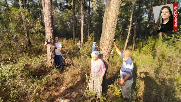 ‘Taşıdığı’ zeytinler yetmedi, santrala ek olarak kurulacak GES’le sıra tarlalara geldi: Akbelen’de toprak mücadelesi