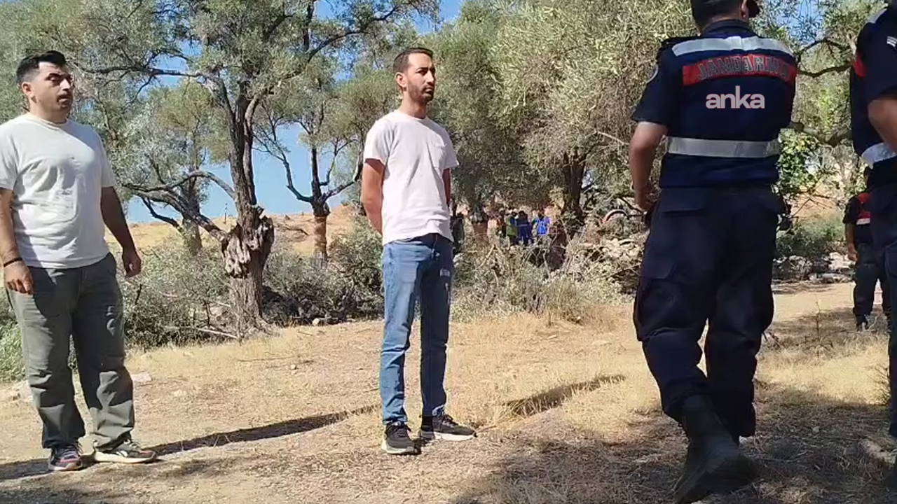 Akbelen'de zeytin kıyımı: Danıştay'dan acil yürütmeyi durdurma istendi!